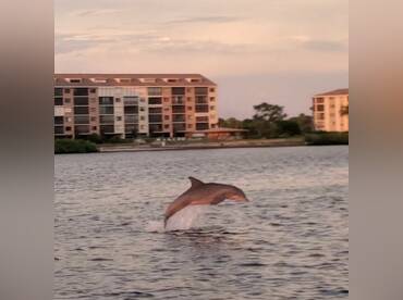 C Dreamer Charters