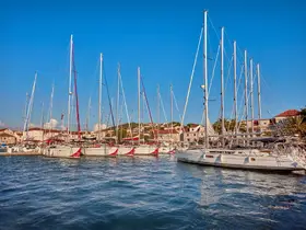 A picturesque view of a marina filled with sailboats, showcasing the beauty of yachting and coastal living.
