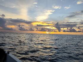 A stunning sunset over the ocean, captured from a boat, showcasing vibrant colors and serene waters — perfect for sunset cruises.