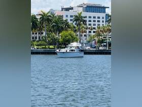 A pristine yacht is docked near a waterfront, surrounded by lush palm trees and modern buildings, showcasing a perfect day on the water.