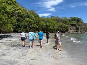 A group of friends strolls along a picturesque beach, enjoying the sun and nature — perfect for a day of exploration and relaxation.