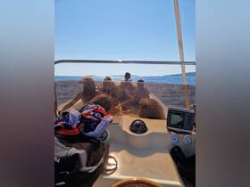 A group of friends enjoys a sunny day on the boat, taking in the beautiful ocean views — perfect for summer adventures and memorable outings.