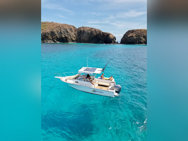 Listing image 1220269