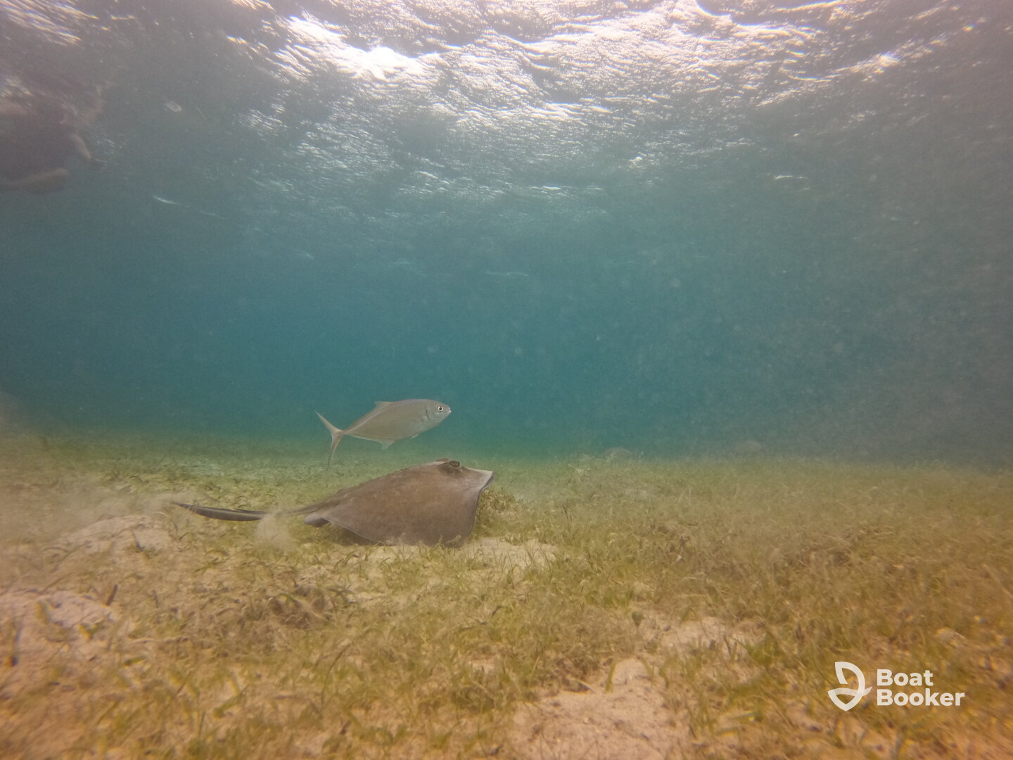 El Yunque Boat Charters