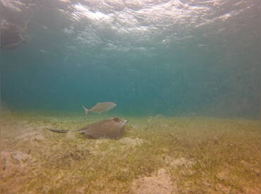 El Yunque Boat Charters