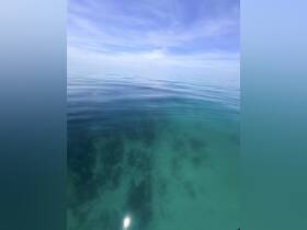 An unclear view of calm waters with some underwater features visible, but lacking distinct subjects or clarity.