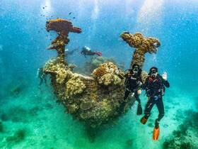 Two divers explore a vibrant coral reef surrounding a sunken wreck, showcasing the beauty of underwater adventures and marine life.