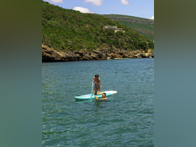 Two friends enjoy a sunny day on the water, with one paddleboarding and the other swimming nearby — a perfect snapshot of summer fun and adventure.