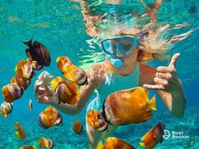 A child snorkels among vibrant fish in crystal-clear waters, showcasing an exciting underwater wildlife experience perfect for family adventures.