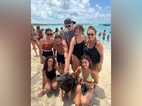 A group of people interacts with a friendly pig on the beach, creating a memorable wildlife experience in the Bahamas. Perfect for family adventures and animal encounters.
