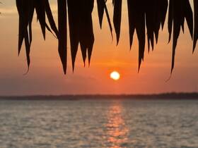 A stunning sunset over tranquil waters, framed by palm leaves, creating a picturesque scene perfect for romantic evenings or serene getaways.
