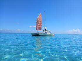A stunning catamaran sails through crystal-clear turquoise waters, showcasing the beauty of a perfect day on the ocean.