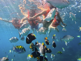 Charter Image