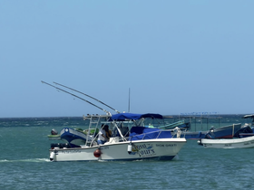 A fishing boat navigates the waters, showcasing its structure and fishing gear, ideal for adventure seekers looking to explore the sea.