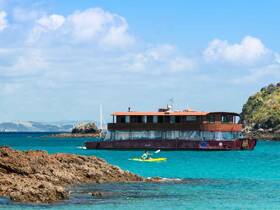 A vibrant scene featuring a kayaker paddling alongside a unique houseboat, set against a stunning turquoise backdrop — perfect for adventure seekers exploring coastal waters.