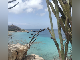 A stunning view of a tranquil coastline with turquoise waters and a harbor in the distance, perfect for showcasing the natural beauty of the area.