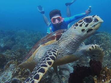 Lombok Taxi & Tour Guide Services