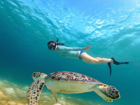 A snorkeler interacts with a majestic sea turtle underwater, showcasing a beautiful wildlife encounter in a vibrant marine environment.