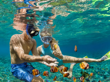 Come & Enjoy Aruba