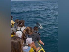 A group of children excitedly watches a dolphin swimming alongside their boat, capturing a magical moment of wildlife interaction in the open sea.