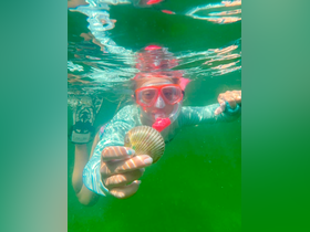 A child snorkels underwater, showcasing a scallop in hand — a delightful moment capturing the beauty of marine life.