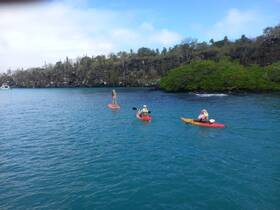 A group enjoys kayaking and paddleboarding in crystal-clear waters, surrounded by stunning coastal scenery — a perfect adventure in nature.