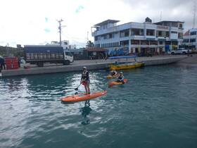 A group enjoys kayaking and paddleboarding in a vibrant harbor, showcasing the excitement of water activities in a picturesque setting.