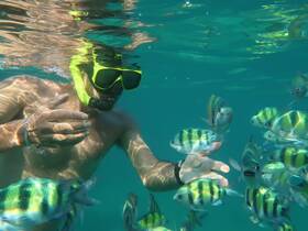 A snorkeler interacts with a school of colorful fish underwater, showcasing the vibrant marine life in a tropical setting.