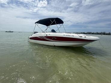 Fort Myers Beach Dolphin & Island Boat Tour