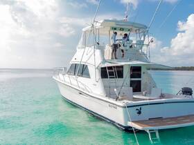 A sleek yacht is anchored in clear turquoise waters, showcasing its elegant design and inviting atmosphere for a perfect day on the water.