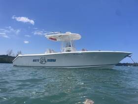 A sleek boat named 'Darty Dawgs' cruising through clear waters, showcasing a perfect day on the water.