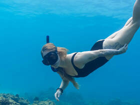 A snorkeler explores vibrant underwater scenery, showcasing the beauty of marine life and coral reefs — an unforgettable diving experience.