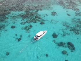 Aerial view of a sleek boat cruising through crystal-clear turquoise waters, showcasing the vibrant marine life below — perfect for exploring tropical destinations.