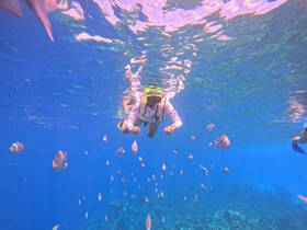 A snorkeler explores vibrant underwater scenery, surrounded by schools of colorful fish in crystal-clear waters — a perfect adventure for marine enthusiasts.