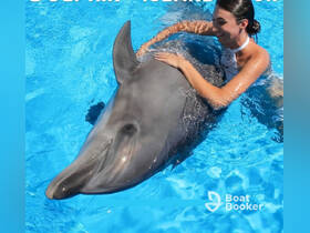 A woman interacts closely with a dolphin in a vibrant blue pool, showcasing a memorable wildlife experience that highlights the beauty of marine life.