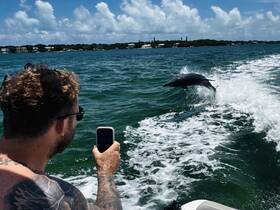 A thrilling moment captured as a dolphin leaps out of the water while a man records the encounter on his phone — a perfect example of wildlife interaction during a boating adventure.