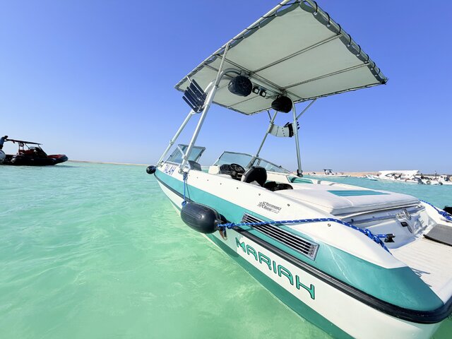 Listing image 1203373