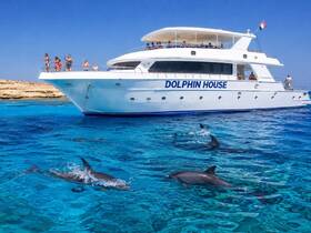 A lively group waves from the deck of the 'Dolphin House' boat as dolphins swim playfully in the clear blue waters, creating a perfect backdrop for an unforgettable marine adventure.