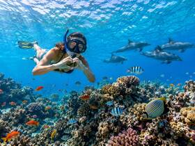 A snorkeler forms a heart shape underwater while surrounded by vibrant coral and tropical fish, with dolphins gracefully swimming in the background — a breathtaking marine adventure.