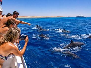 Dive Red Sea