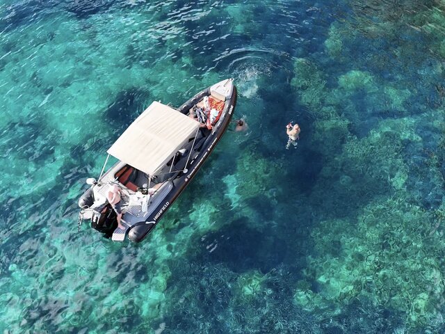Ariel shot of our rib