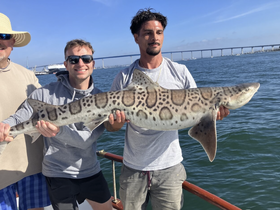 Three anglers proudly display a leopard shark caught during a fishing trip, showcasing the thrill of deep-sea fishing adventures.