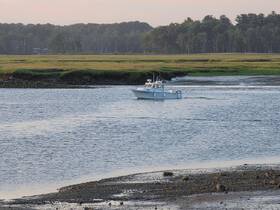 A serene view of a boat cruising through calm waters, surrounded by lush greenery and marshlands, perfect for fishing or leisurely outings.