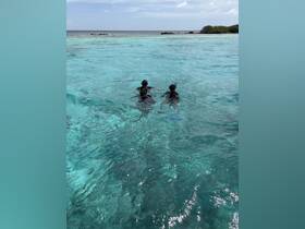 A group of snorkelers enjoys the vibrant underwater world in crystal-clear waters, perfect for exploring marine life and creating unforgettable memories.
