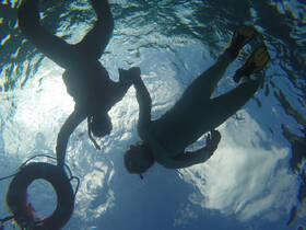 Two snorkelers explore the underwater world, showcasing the beauty of marine life and the excitement of snorkeling adventures.