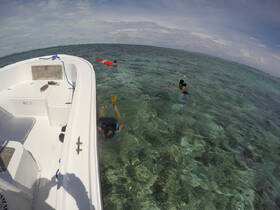 A group enjoys snorkeling in crystal-clear waters, showcasing the vibrant marine life and perfect conditions for underwater exploration.