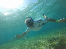 A snorkeler explores the vibrant underwater world, showcasing the beauty of marine life and clear waters — an ideal adventure for ocean enthusiasts.