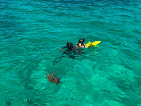 Two snorkelers enjoy a close encounter with a sea turtle in crystal-clear waters, showcasing the beauty of marine wildlife and snorkeling adventures.