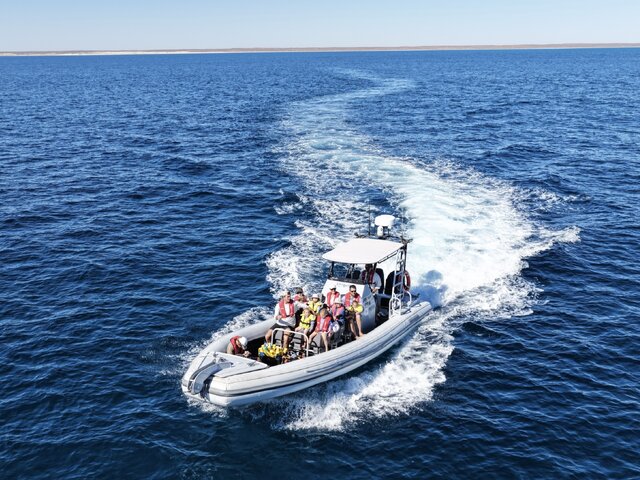 Listing image 1203864