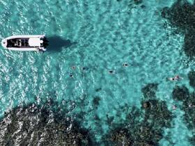 Aerial view of a group snorkeling in crystal-clear turquoise waters, with a boat nearby, showcasing the perfect adventure for water enthusiasts.